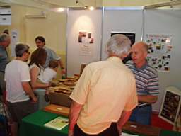 igs adare 1565.jpg